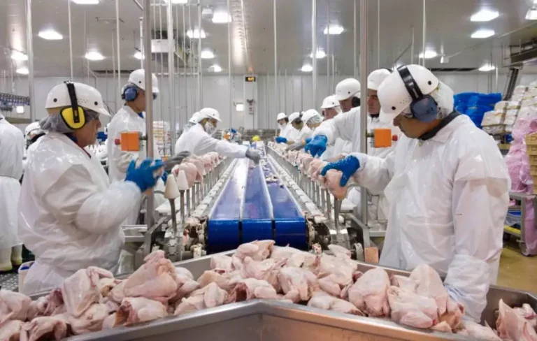 Primeiro contêiner da Levo de Umuarama para a China será lacrado nesta segunda