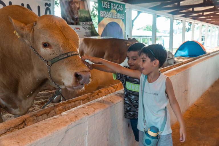 Pode fazer um carinho? Público se rende à robustez dos bovinos nos pavilhões da Expo Umuarama