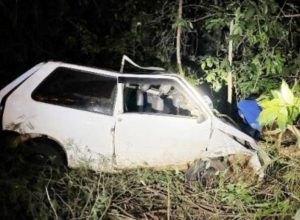 Motorista atropela capivara e cai com carro em ribanceira da PR-180, em Goioerê