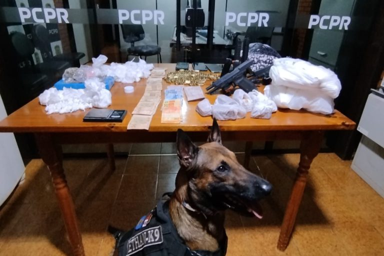 Homem é preso pela PRE, PM e PCPR com drogas e armas de fogo em Palotina