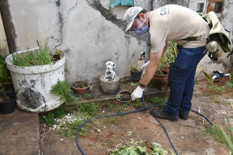 Quase 5 mil casos de dengue são confirmados em Umuarama em menos de 10 meses