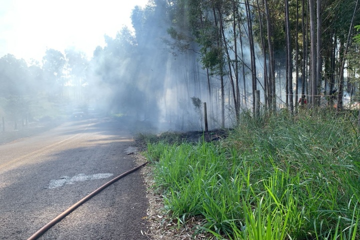 Veículo pega fogo após sair da pista na Estrada Velha, danificar cerca e bater em árvore