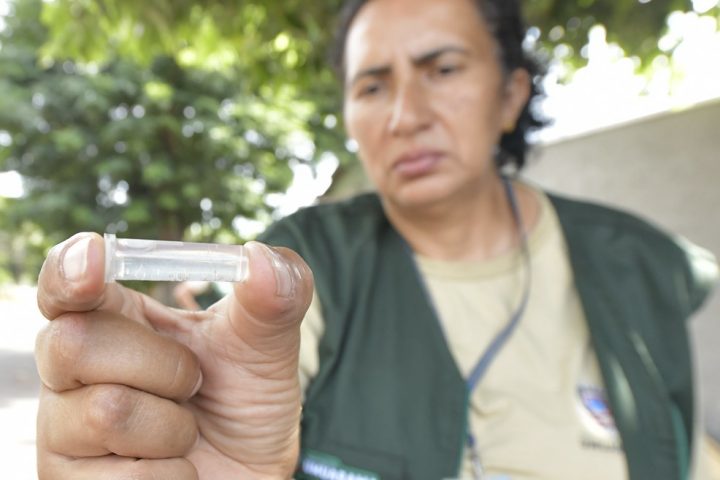 Umuarama registra 895 casos de dengue em maio; mais uma morte pela doença é investigada