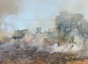 Morador de Altônia ateia fogo em terreno e diz à PM que era para “espantar pernilongos”