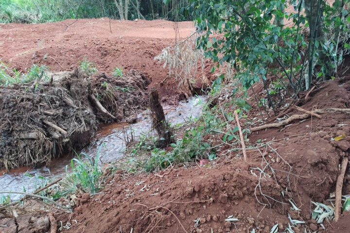 Polícia Ambiental multa em R$ 10 mil responsável por dano em APP de Brasilândia