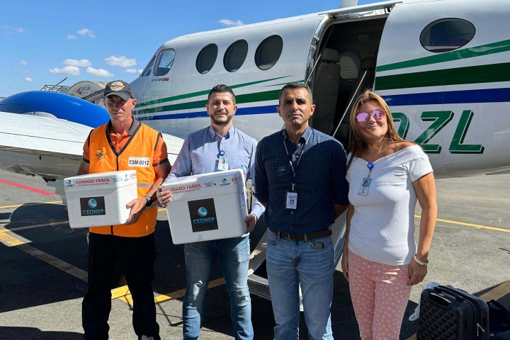 Aviões do Paraná levam veterinários, medicamentos e internet ao Rio Grande do Sul
