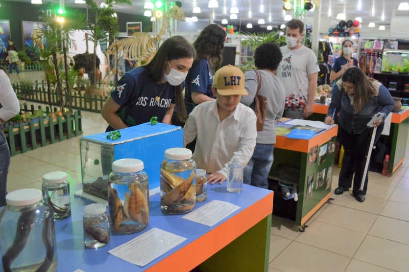 Pavilago Branco Abertura Site