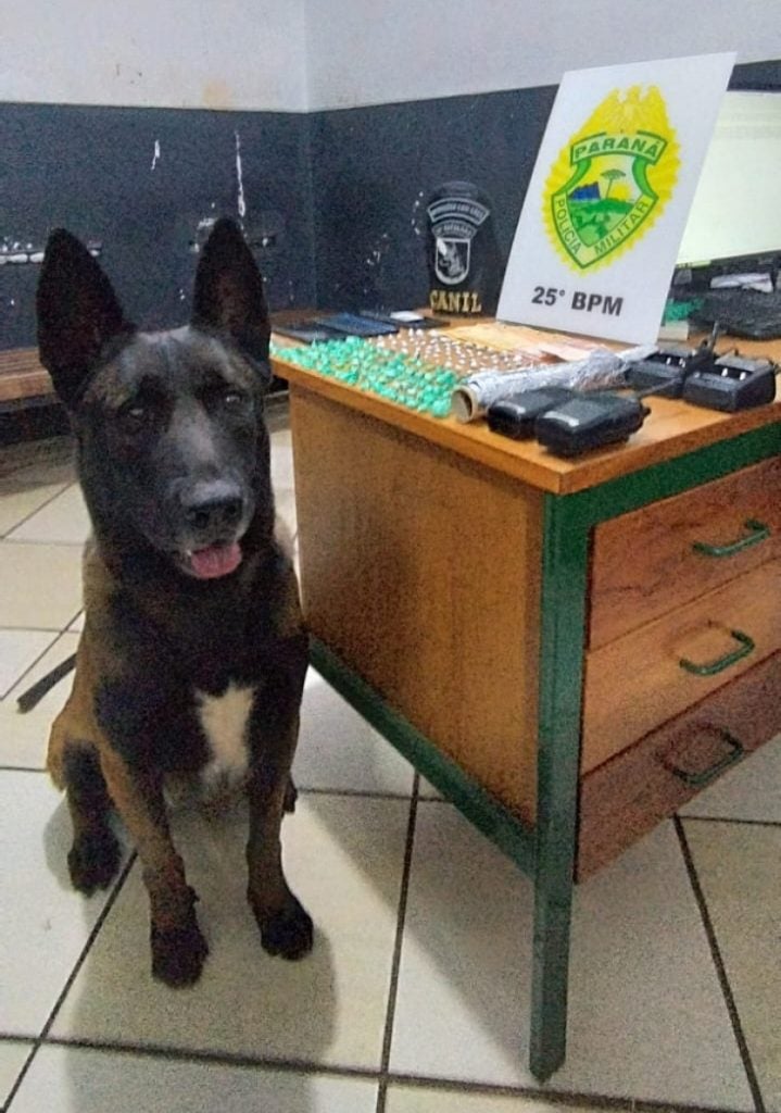 Whatsapp Image 2024 06 29 At 07.54.28