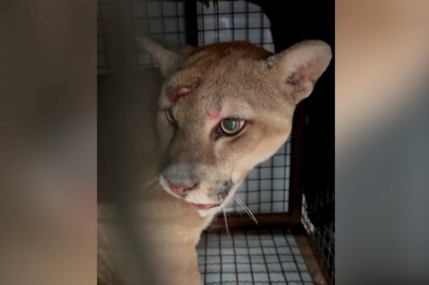 17213318506699708aeb9fb