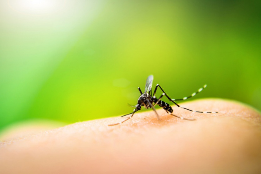 Secretaria de Saúde de Umuarama confirma 8 novos casos de dengue nesta semana