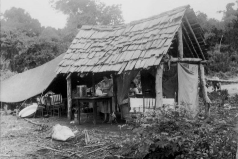 449323116 886352810205957 7043856630936287219 N