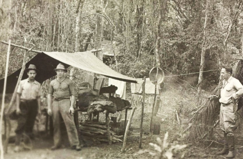 449346940 1081095480331954 6112883006758341729 N