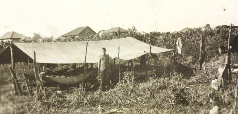 449373137 998869898554980 8842519099558568669 N