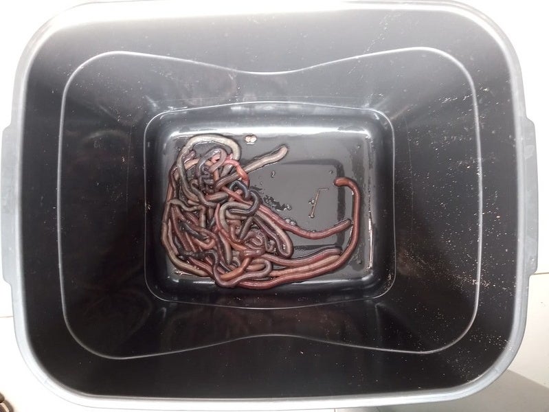 53827039307 45befbc016 C