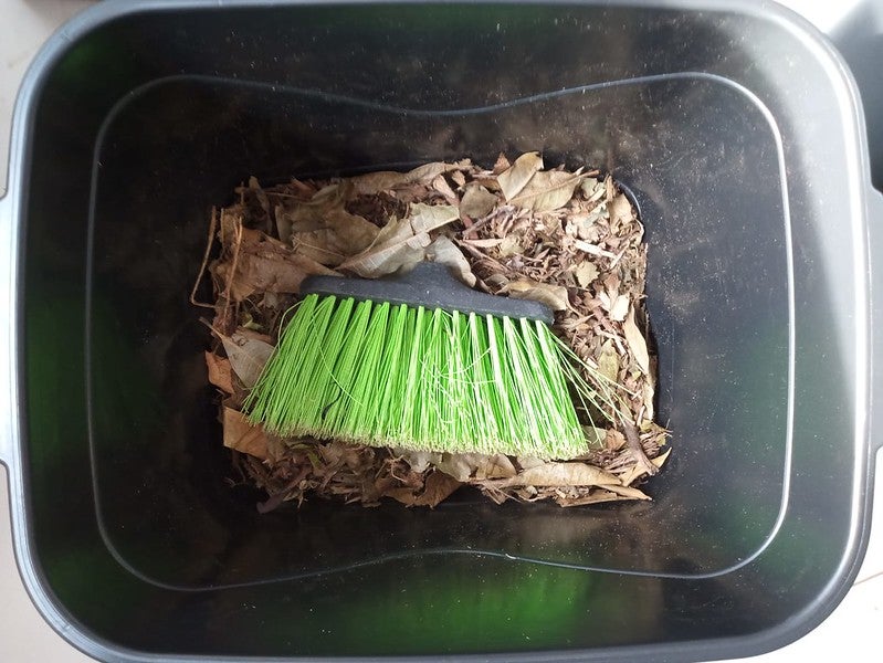 53827954216 Ae8ea1eb8e C