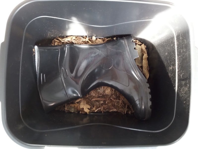 53828283659 Ed685eeb88 C