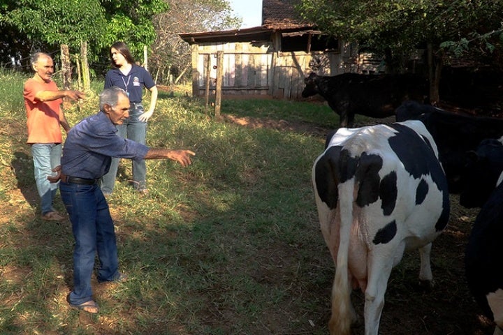 53847254902 A201f4c43e C