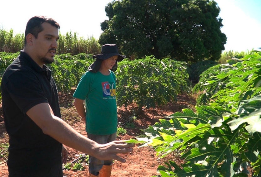 53848142771 64bddd8c04 C