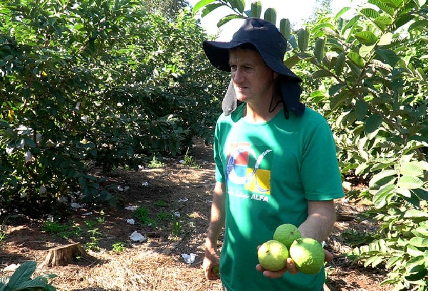 53848500334 D9a3fa547f C