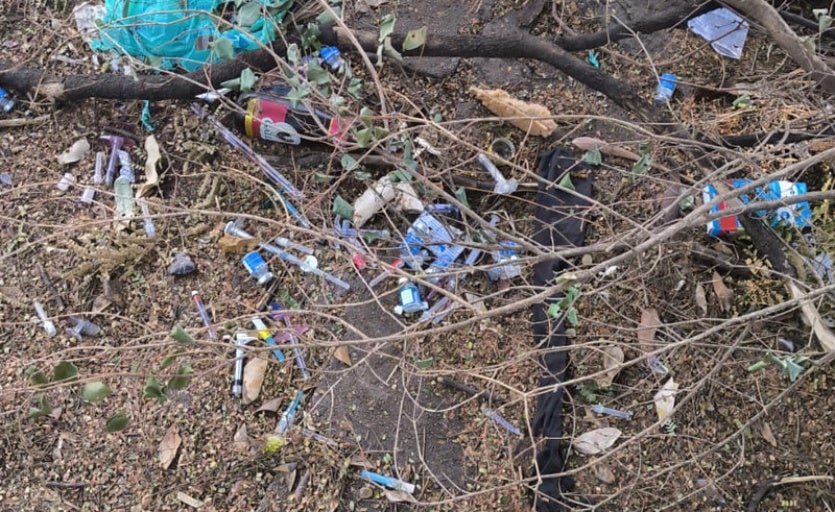 53879201999 556b56ec09 C