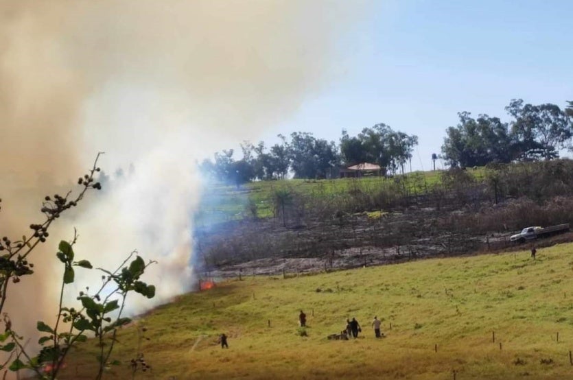 Imagem Do Whatsapp De 2024 07 02 à(s) 12.25.39 12cc1a89