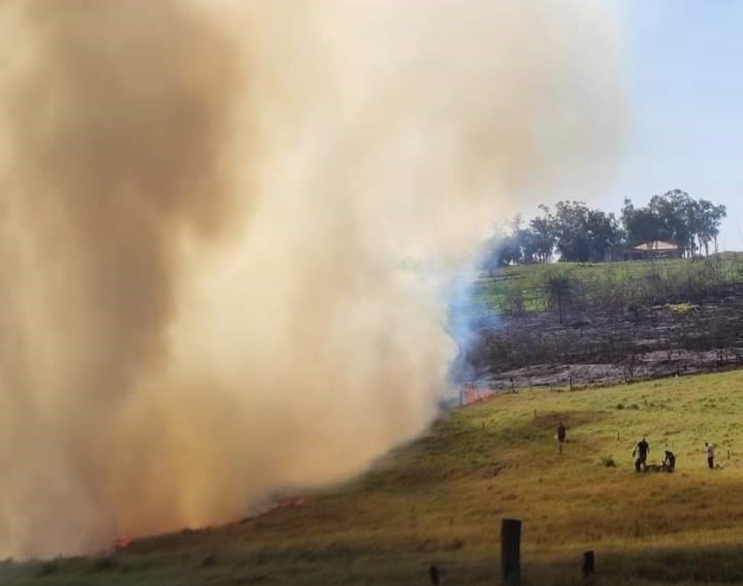 Imagem Do Whatsapp De 2024 07 02 à(s) 12.25.39 6f0b3bc7