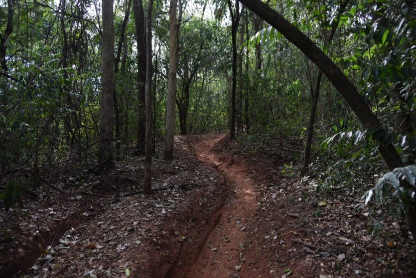 Imagem Do Whatsapp De 2024 07 06 As 11.44.45 2329c093 1