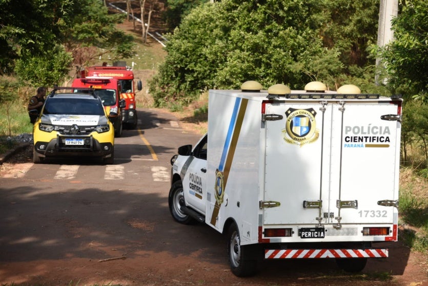 Imagem Do Whatsapp De 2024 07 06 à(s) 11.44.45 291ba693