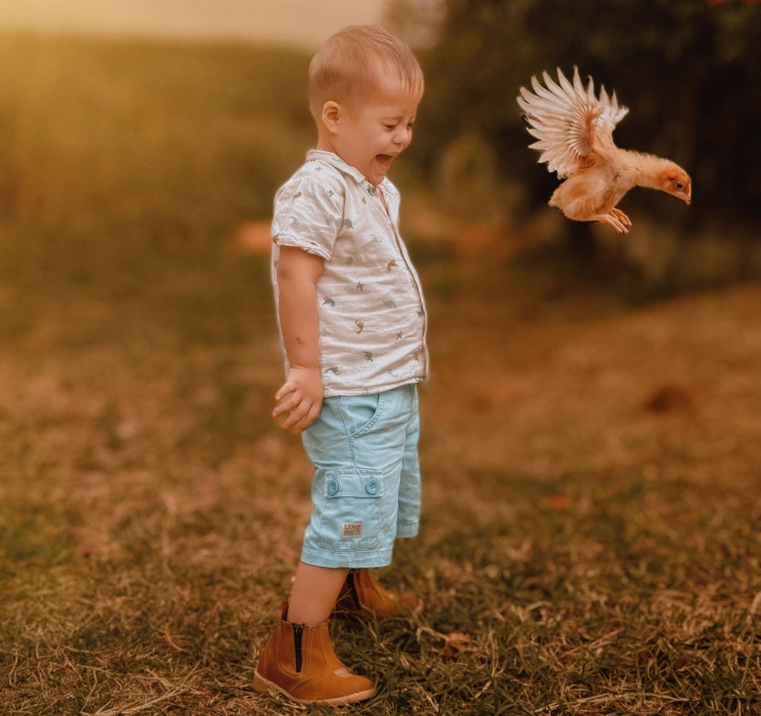 Imagem Do Whatsapp De 2024 07 09 As 20.32.59 52584e75