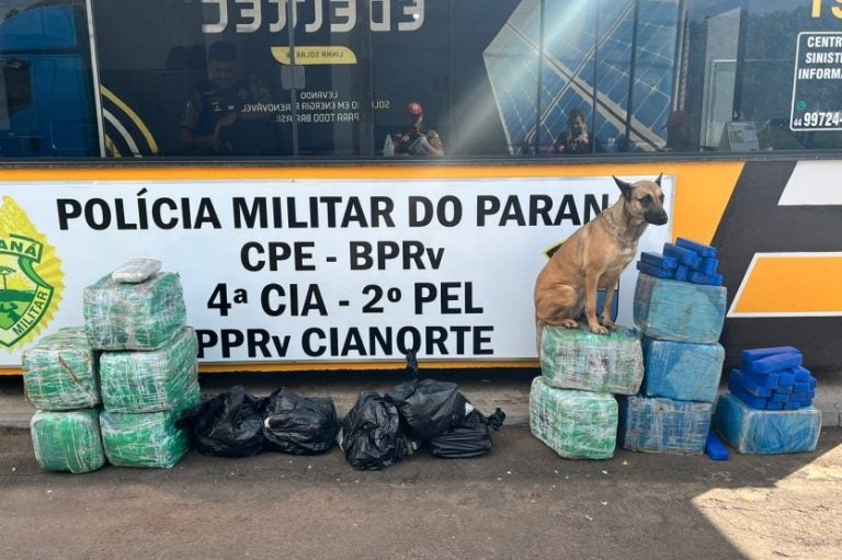 Imagem Do Whatsapp De 2024 07 12 à(s) 13.35.26 71d41932