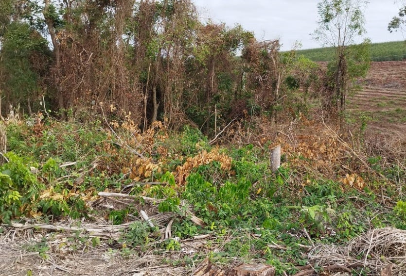 Imagem Do Whatsapp De 2024 07 16 à(s) 17.36.05 4797fbab