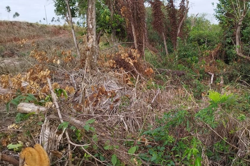 Imagem Do Whatsapp De 2024 07 16 à(s) 17.36.06 5b85885d