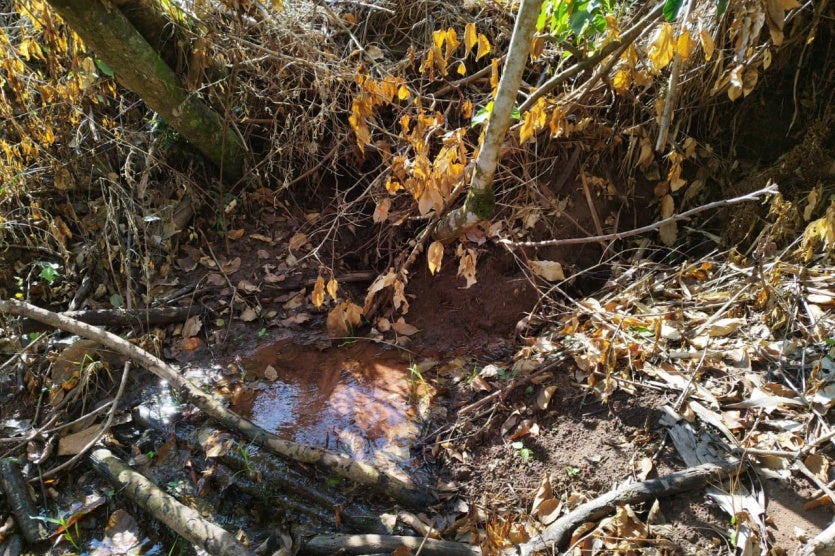 Imagem Do Whatsapp De 2024 07 16 à(s) 17.36.06 5d6f4584