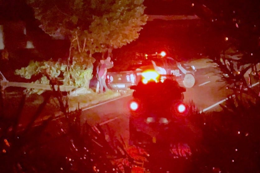 Imagem Do Whatsapp De 2024 07 29 à(s) 20.21.52 B67b26fa