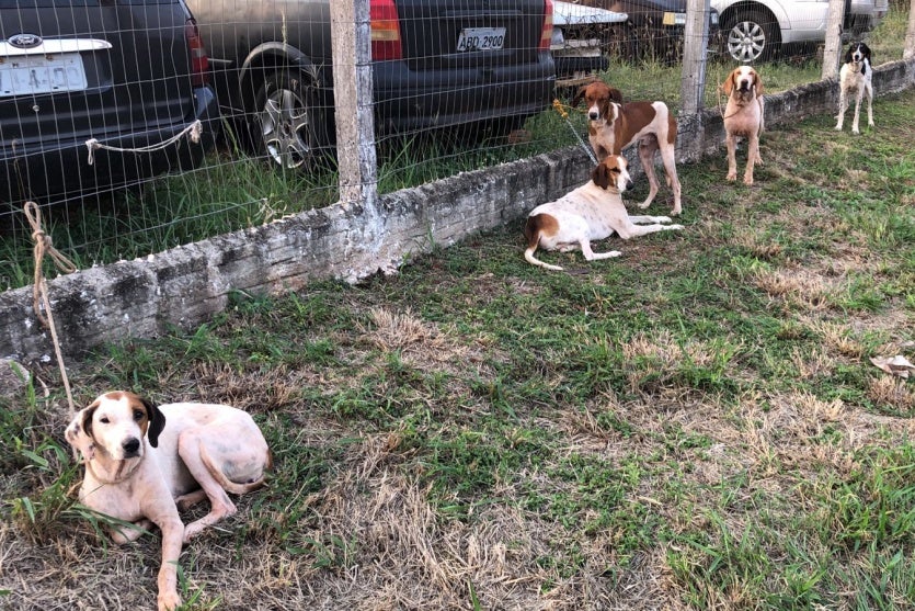 Imagem Do Whatsapp De 2024 07 31 à(s) 20.06.07 B08f30a5