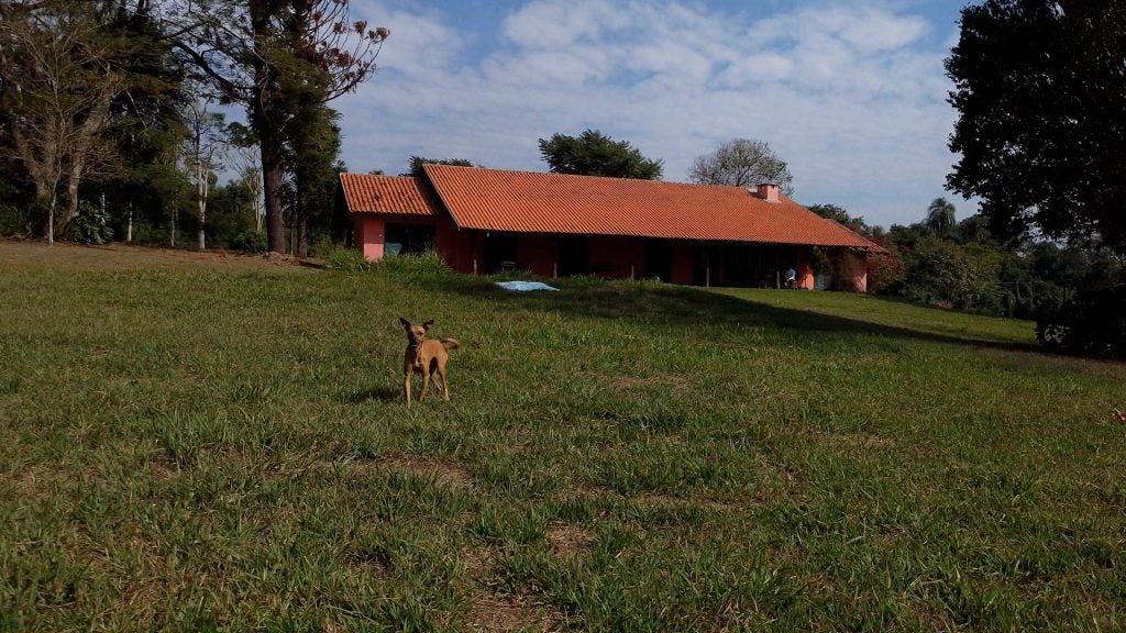 Sequência 02.00 06 24 22.quadro004