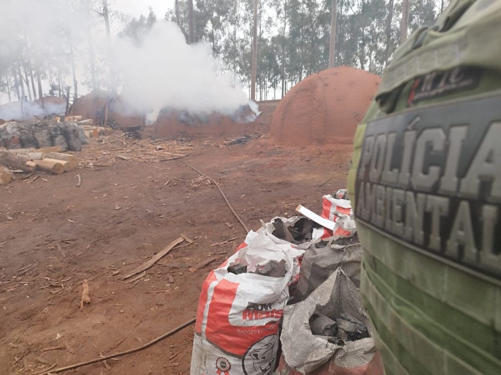 Whatsapp Image 2024 07 09 At 06.13.52