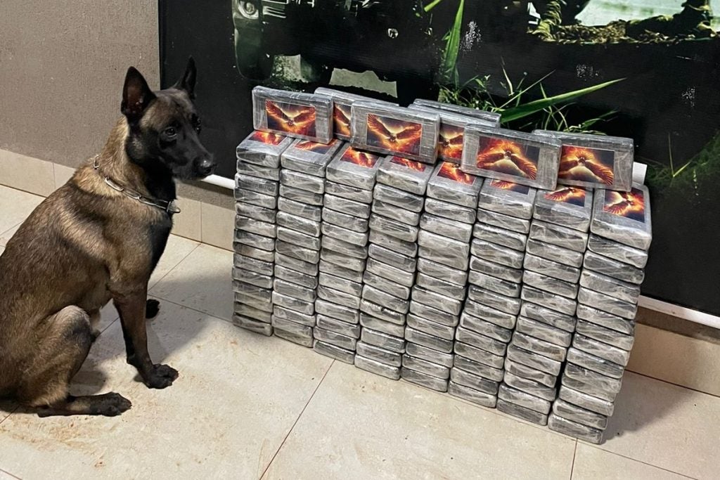 Whatsapp Image 2024 07 12 At 08.29.09