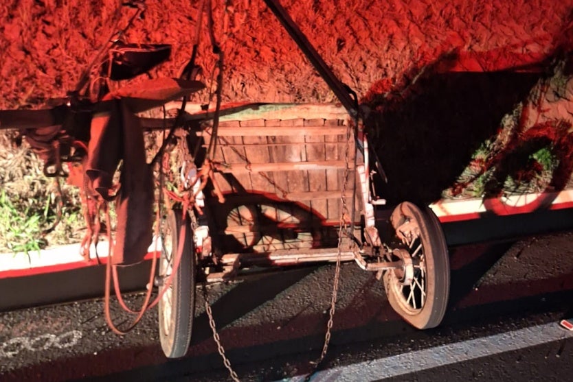 Whatsapp Image 2024 07 17 At 12.13.15