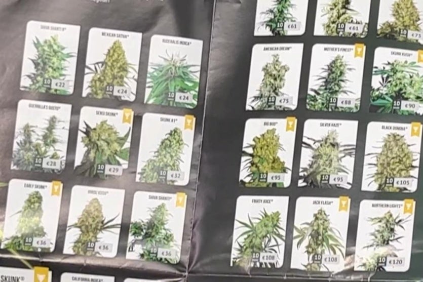 Whatsapp Image 2024 07 19 At 10.45.08