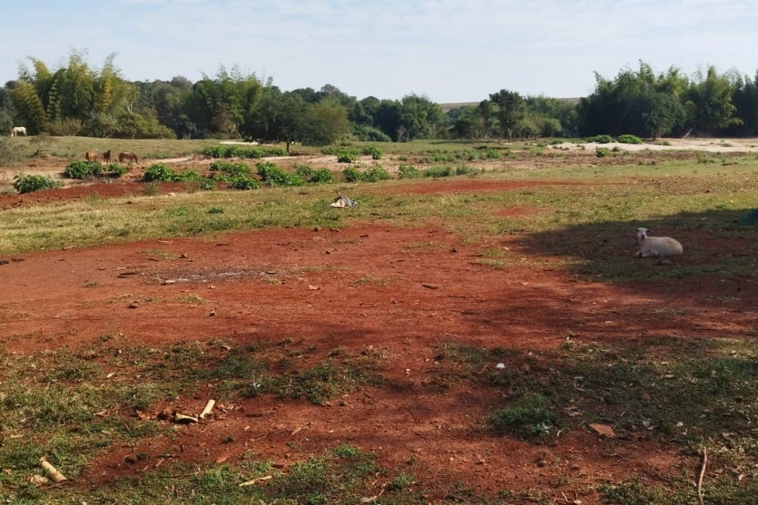 Whatsapp Image 2024 07 22 At 14.25.04 2