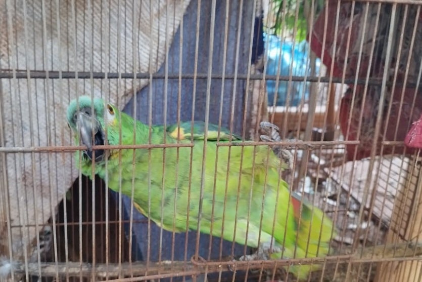 Whatsapp Image 2024 07 22 At 14.25.05 1