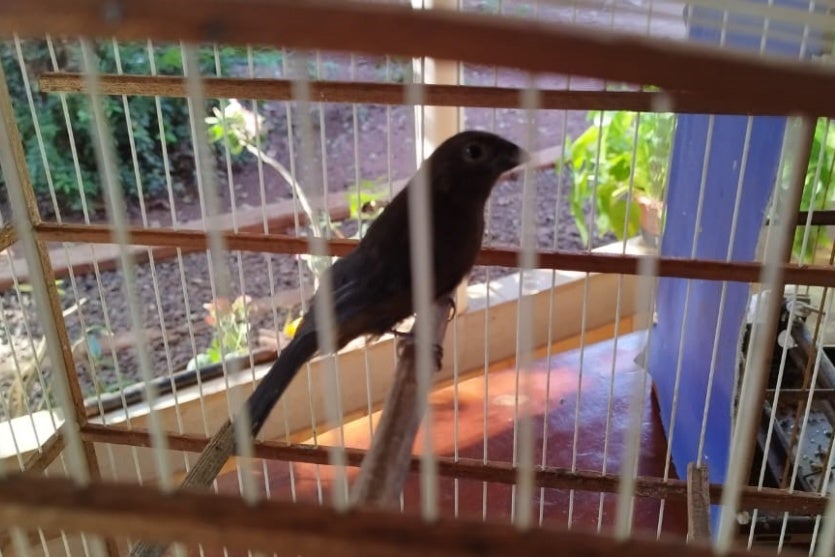 Whatsapp Image 2024 07 22 At 14.25.05 2