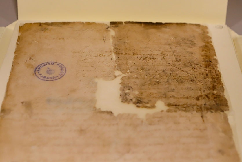 Acervo Foto Rdziura 8753