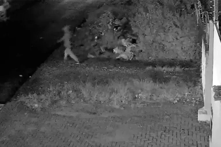 Investiga Morte Suspeito Em Frente Escola Boqueirao 960x592.jpg