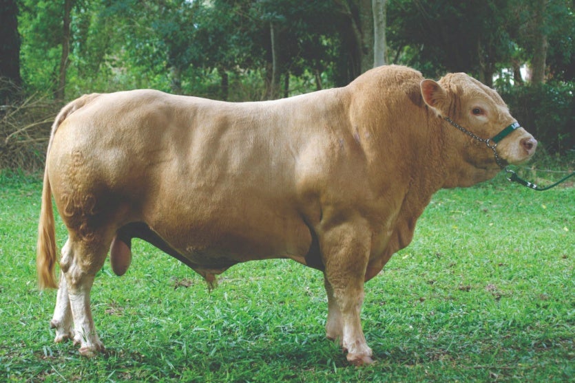 Whatsapp Image 2024 07 10 At 16.37.17