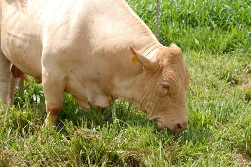 Whatsapp Image 2024 07 10 At 16.37.49