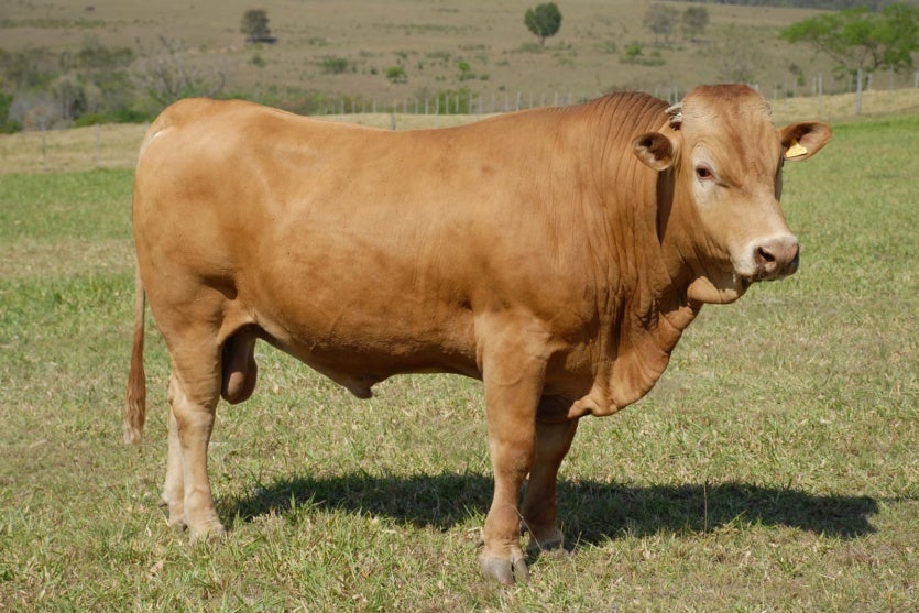 Whatsapp Image 2024 07 10 At 16.39.11