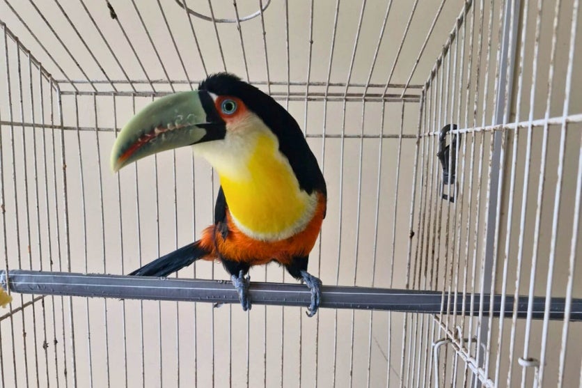 Whatsapp Image 2024 07 12 At 11.43.21