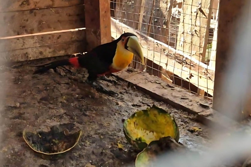 Whatsapp Image 2024 07 12 At 11.43.21 2